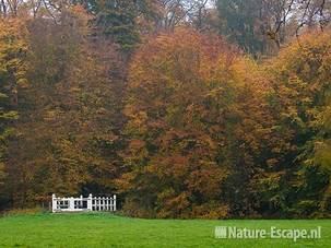 Bomen in hertfstkleuren, Elswout 1 301009