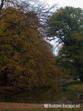 Landschap in Elswout 1 301009