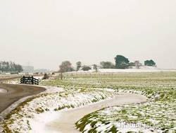 Fort Krommeniedijk, sneeuw, ijs, dooi, Lagendijk Uitgeest 4 160110