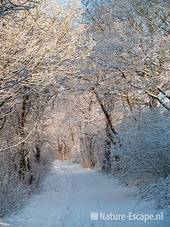 Wandelpad, sneeuw, NHD Heemskerk 3 300110