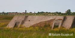 Bunker in kruidenrijke weide, Hekslootpolder, Spaarndam 2 210511