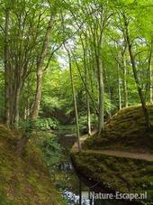 Landschap, doorkijkje, landgoed Elswout 3 170811