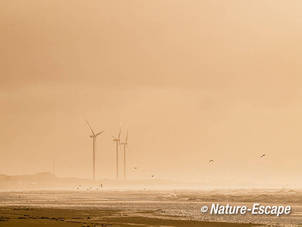 Windmolens Reyndersweg vanaf strand Heemskerk 1 301211