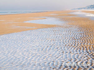 IJs, ijsribbels, op het strand van Heemskerk 1 040212