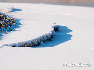 Sneeuw, op verzakt ijs, infiltratiegebied, NHD Castricum 1 110212