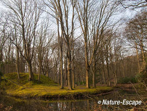 Landschap op landgoed Elswout 2