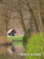 Doorkijkje, landgoed Elswout 2 310312