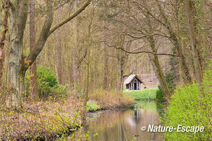 Doorkijkje, landgoed Elswout 1 310312