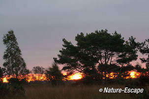 Zonsopkomst, Groote Peel 1 131012