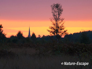 Kerktoren, opkomende zon, vanuit de Groote Peel 2 131012