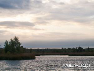 Water in de Groote Peel 1 131012