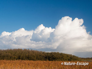 Wolken, boven Zwanenwater 9 271012