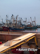 Schep op vissersboot, Lauwersoog1 050113