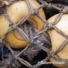 Drijver, in net, haven van Lauwersoog 2 crop 050113