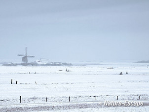 Molen, bij de Putten 1 090213