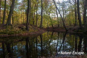 Landschap, buitenplaats, Hilverbeek, Natuurmonumenten 5 010513