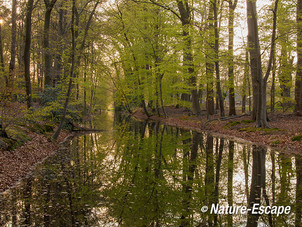 Landschap, buitenplaats, Hilverbeek, Natuurmonumenten 3 010513