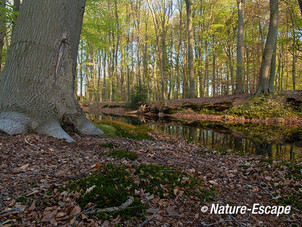 Landschap, buitenplaats, Hilverbeek, Natuurmonumenten 1 010513