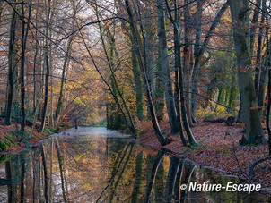 De Hilverbeek, Hilverbeek Natuurmonumenten 2 301113