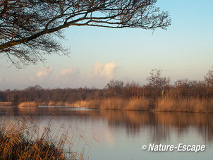 Landschap, Ankeveense Plassen 1 291213