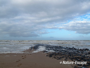 Zeezicht, bij Hargen aan Zee 3 220214