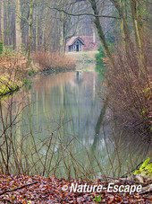 Doorkijkje, landgoed Elswout 2 280214