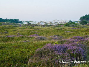 Duinlandschap, Hargen 1 070814