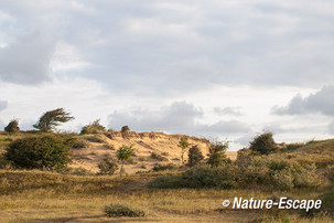 Duinlandschap, met zandverstuiving, AWD2 160814