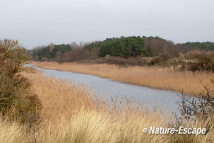 Duinlandschap, met infiltratiekanaal, winter, AWD4 250115